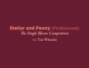 Stellar and Peony Professional
